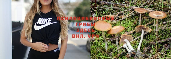 гидропоника Няндома