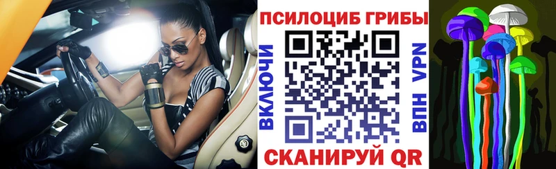 Псилоцибиновые грибы GOLDEN TEACHER  где купить наркоту  Шенкурск 